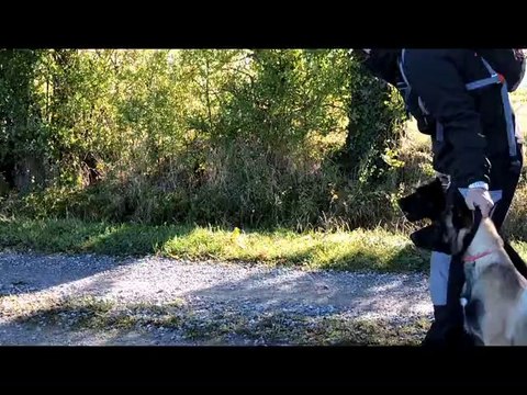 balade éducative LITTLE HOOK - OCTOBRE 2014