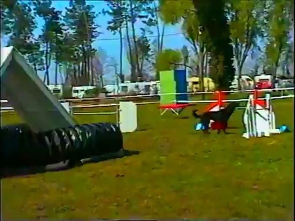 agility