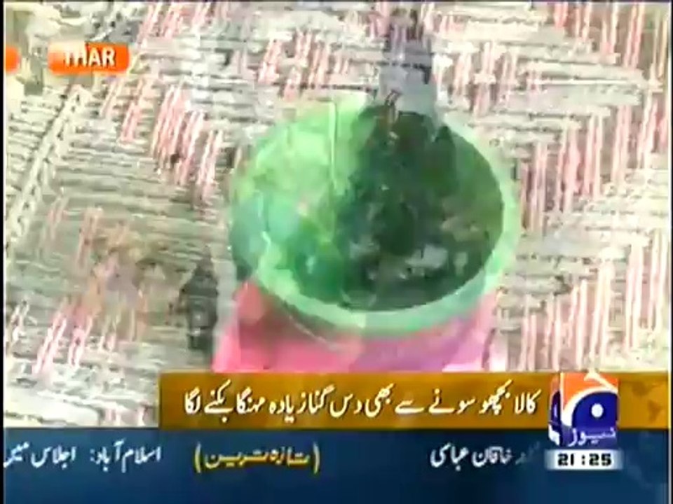 Tharparkar Pakistan Black Scorpion - Basic.Pk