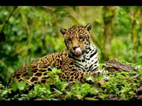 55 - COISAS NOVAS E COISAS VELHAS