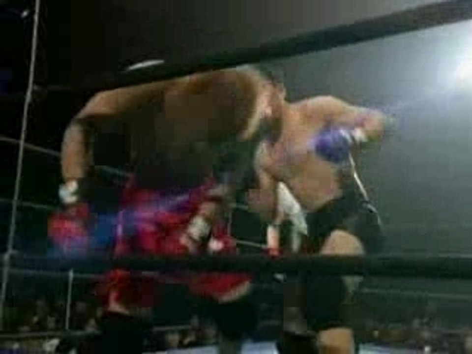 ZST lightweights highlights