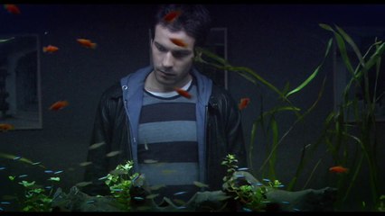 La vida de los peces: Trailer HD