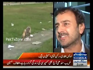 Piles of rubbish outside parliament