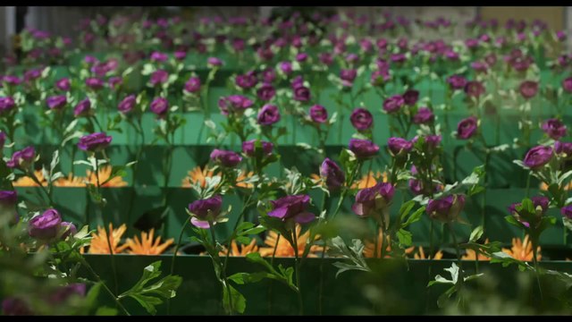 L'Ecume des jours: Trailer HD OV nl ond