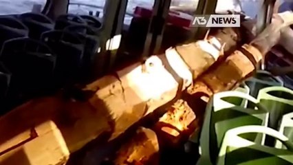 VAPORETTO, SCONTRO SULLE CAUSE