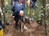 Vicenza - ritrovamento cadavere con cani molecolari della Polizia di Stato