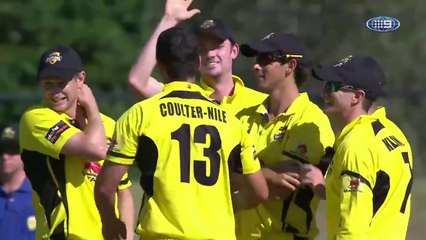 What a Beauty From Nathan Coulter Nile  Amazing Delivery