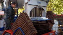 Pressage des pommes, à la Foire de la pomme, à Vimoutiers.