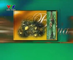 Phát triển bền vững các mô hình nuôi thủy sản nước lợ - nghenong.com