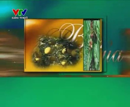 Phát triển bền vững các mô hình nuôi thủy sản nước lợ - nghenong.com