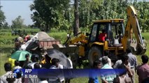Inde: deux éléphants sauvages morts électrocutés