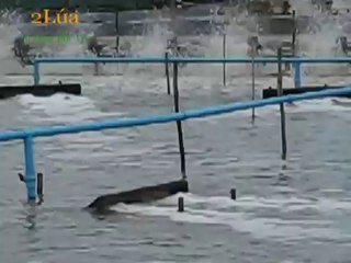 Công nghệ sục khí bằng ống aeration hose (Ống cao su thông khí) - nghenong.com