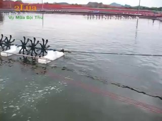 Công nghệ sục khí bằng Ống xốp cao su thông khí (aero tube) - nghenong.com