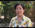 Giải pháp cho nuôi tôm ngoài qui hoạch - nghenong.com
