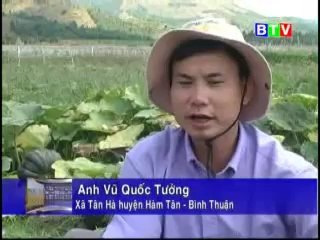 Giống bí đỏ, khoai mì, nuôi cá nước ngọt - nghenong.com