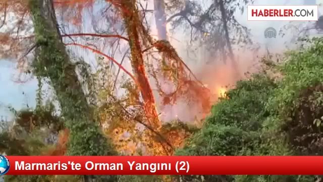 Muğla Marmaris'te Orman Yangını