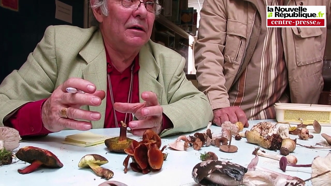 VIDEO. Vienne : bien connaître les champignons pour éviter l'intoxication