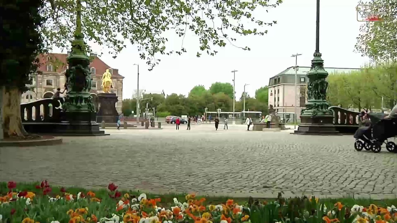 Madeline Willers - Warum hab ich Dich nicht geküsst