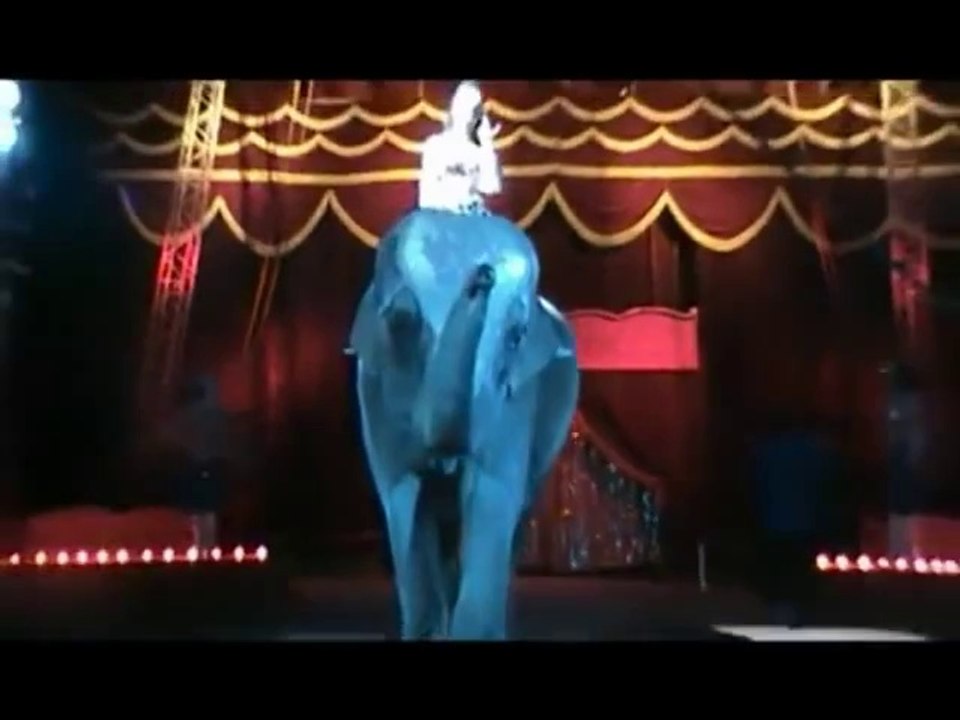 Cirque  Le dressage