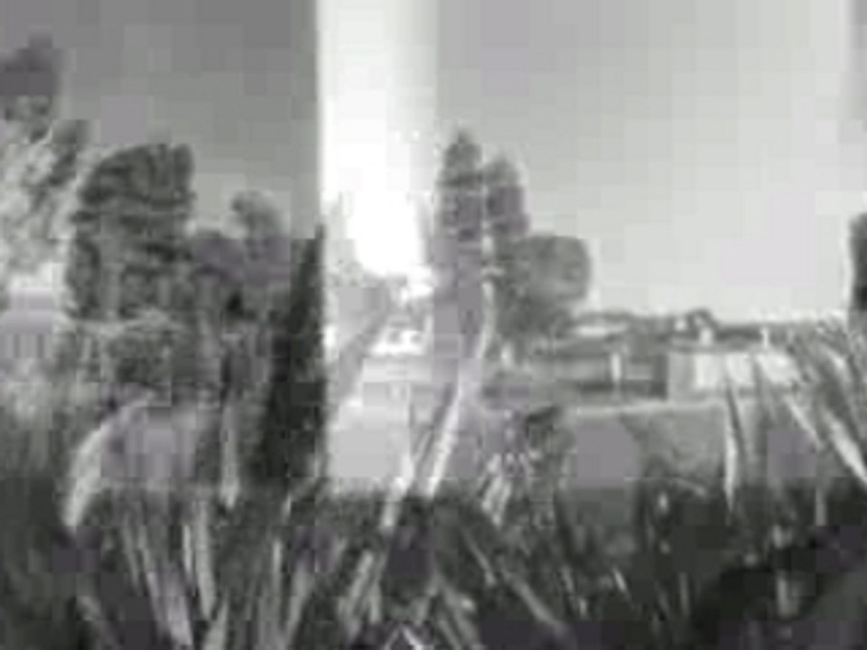 Agressive Rollerblading - Chris Haffey