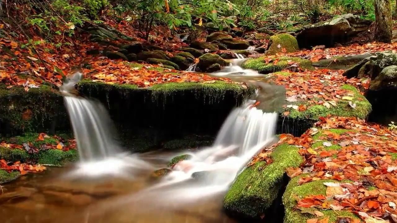 17 - Imágenes de relajación y música de paz total