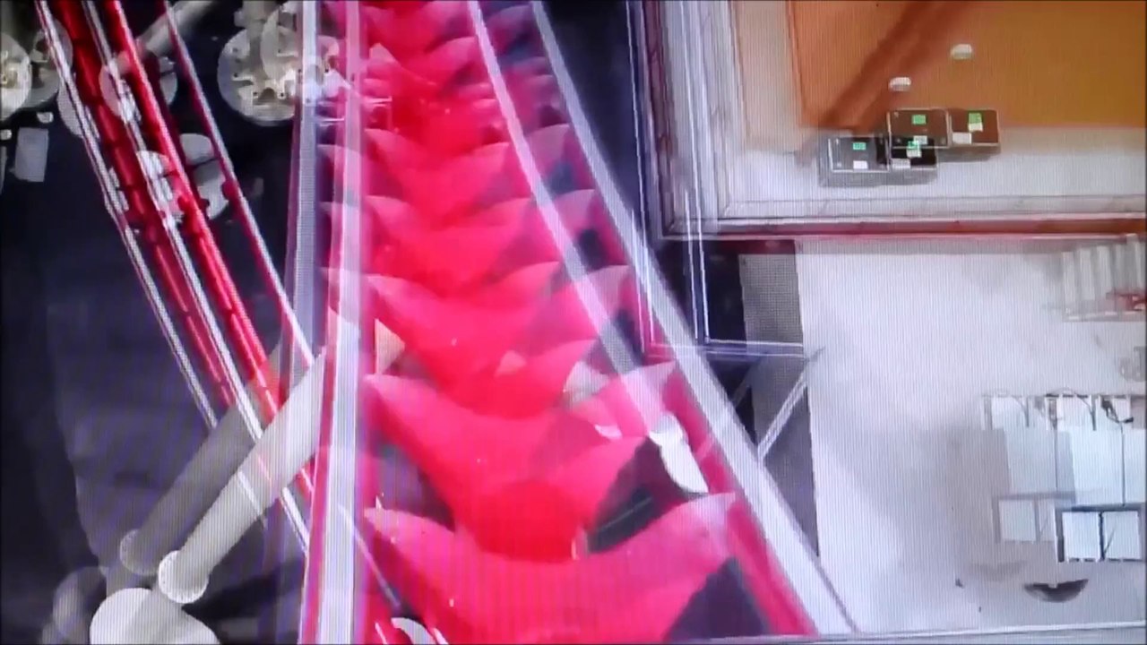 One Direction in Orlando. Our Dream.