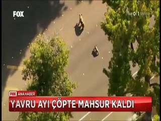 Çöp bidonuna düşen yavru ayıyı böyle kurtardılar