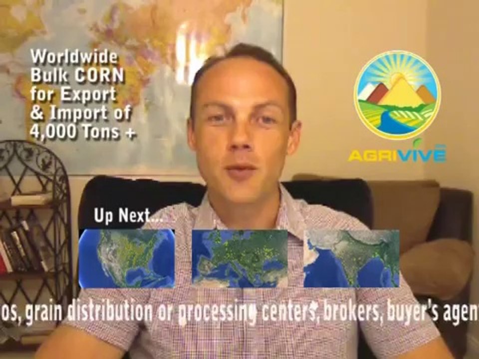 Buy Bulk Corn, Corn Exporting, Corn Exporters, Corn Exporter, Corn Exports, Corn Export