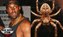 KANYE WEST BIGGEST FEAR: Terrified of Spiders