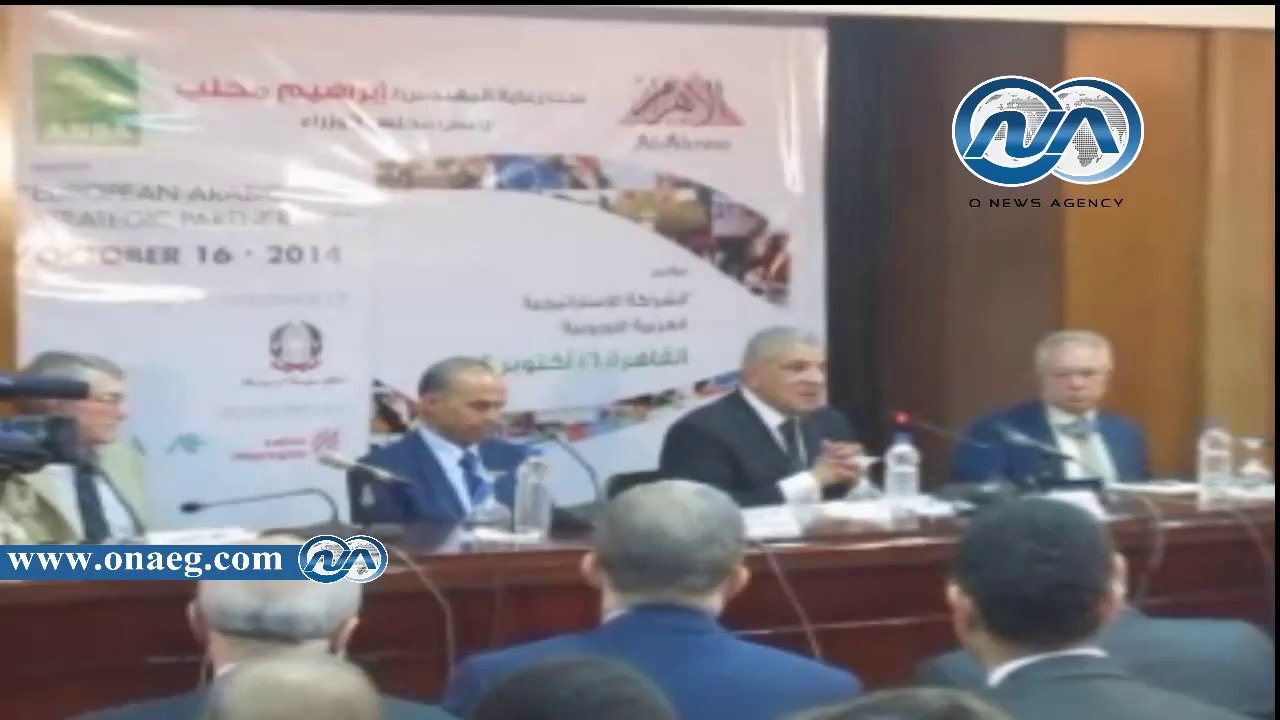 كلمة " محلب " فى مؤتمر الأهرام الإقتصادي
