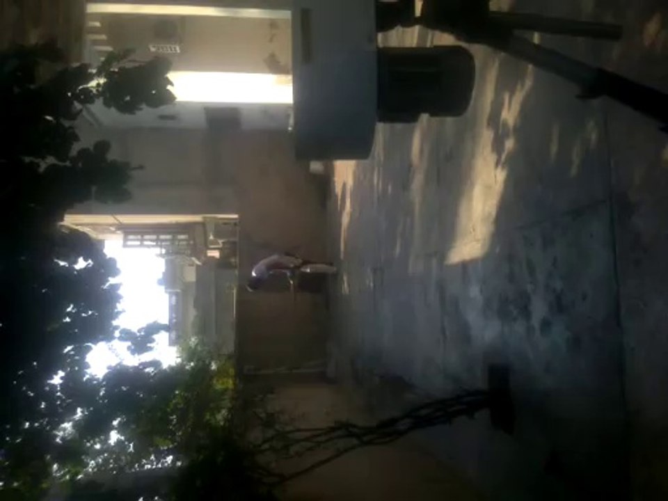 Cricket Bowling Machine Pakistan video Dailymotion