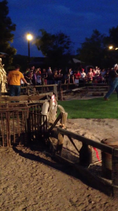 Pig race at a fall harvest festival