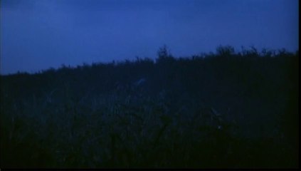 The Return of Godzilla - The Flock of Birds