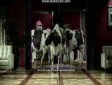 Go Nawaz Go Cow dance