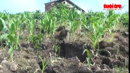 Tiếp tục nứt đất cạnh lòng thủy điện Đồng Nai 2