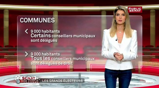Les grands électeurs - Sénat, mode d'emploi
