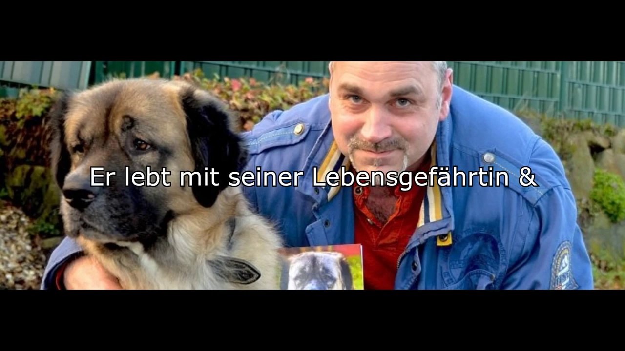 Germanischer bärenhund