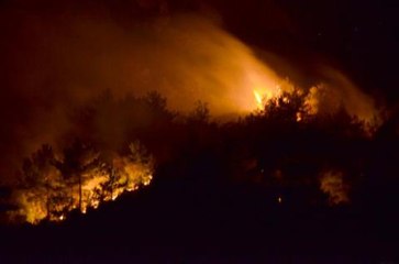 Kozan'da orman yangını