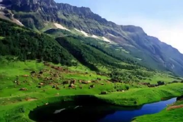 Kameeney Logg by Habib Jalib for Pakistan Polotician