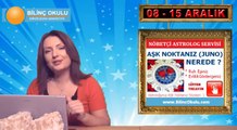 AKREP - HAFTALIK Burç Yorumu -08-15 Aralık 2013 - Astrolog DEMET BALTACI -astroloji, Burçlar