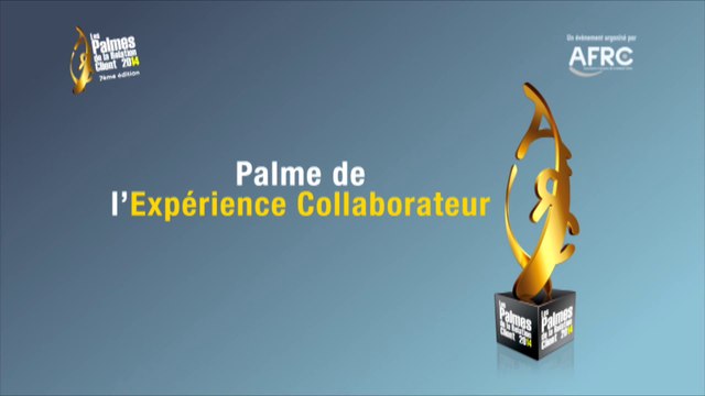 06-Palmes de la Relation Client AFRC 2014 : Palme Expérience collaborateur