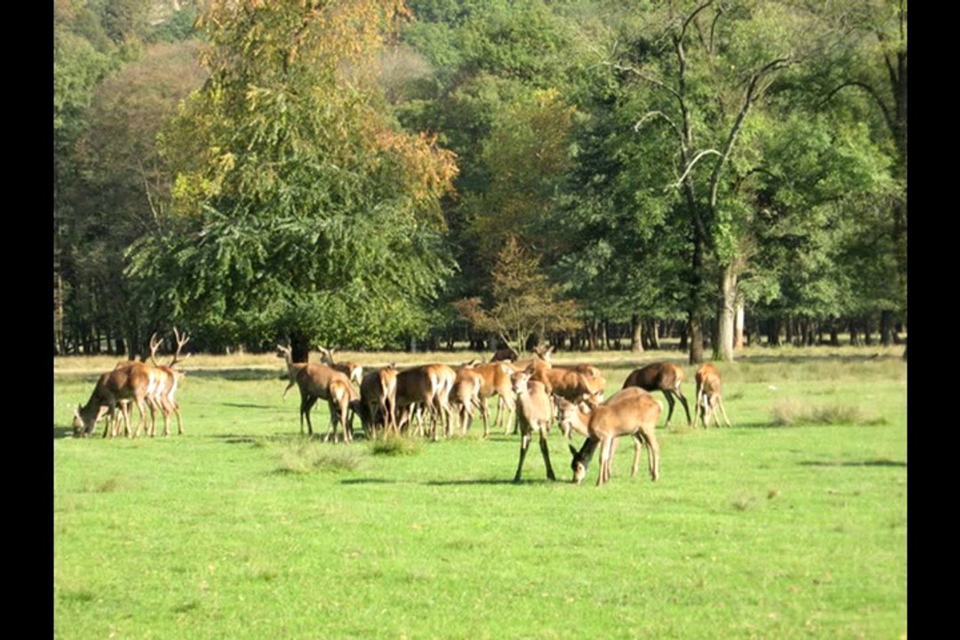 Le Domaine de Vizille, joyau patrimonial du conseil général de l'Isère