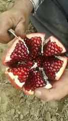 Nar Nasıl Soyulur - Oha be !