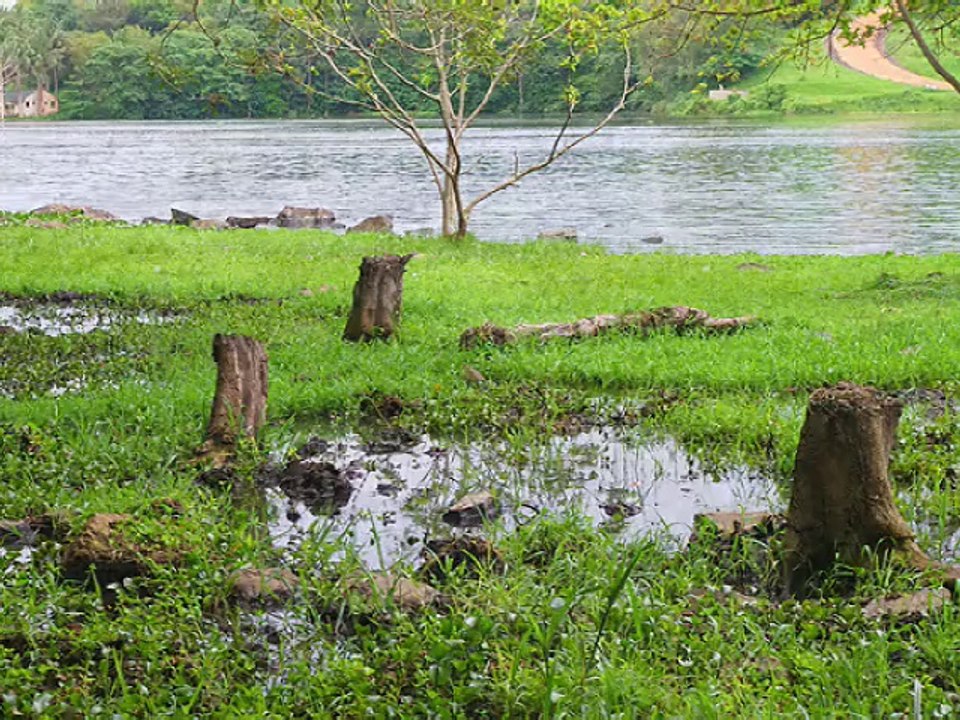 Ouganda - aux sources du Nil
