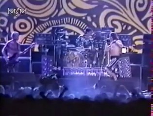 Red Hot Chili Peppers (Live In New Zealand 1992) Part.2