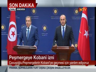 Mevlüt Çavuşoğlu açıklama