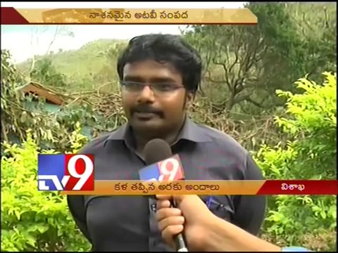 Araku losts its beauty in hudhud Cyclone