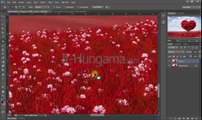 patch tool in photoshop tutorials cs6 cs5 cs4 cs3 cs2 7.0 and cc