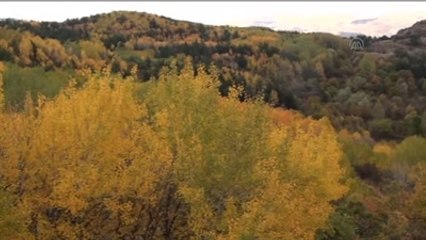 Karagöl, Sonbaharda Bir Başka Güzel