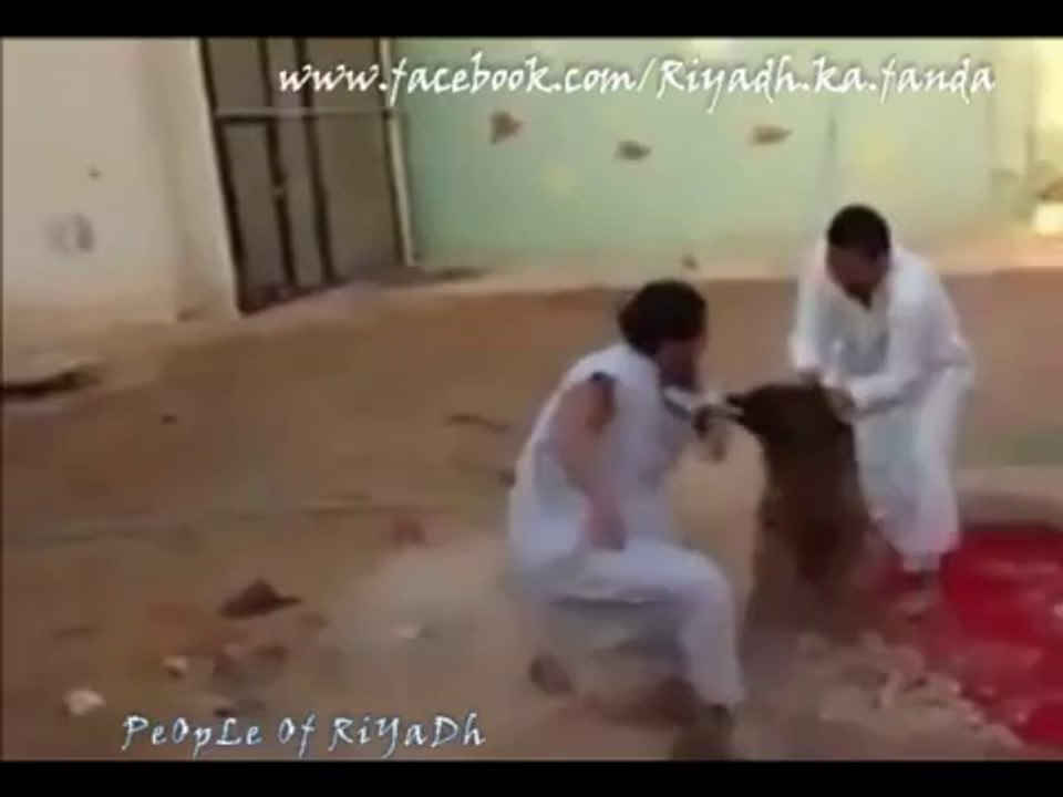 funny arabic attack
